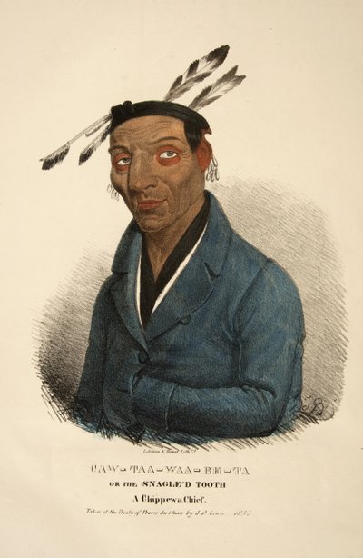 Caw-taa-waa-be-ta o il Dente aggrovigliato da James Otto Lewis